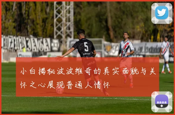 小白揭秘波波维奇的真实面貌与关怀之心展现普通人情怀